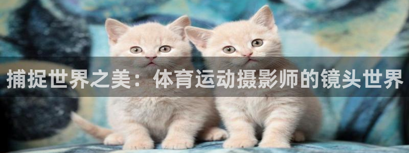 中欧体育kok官网首页