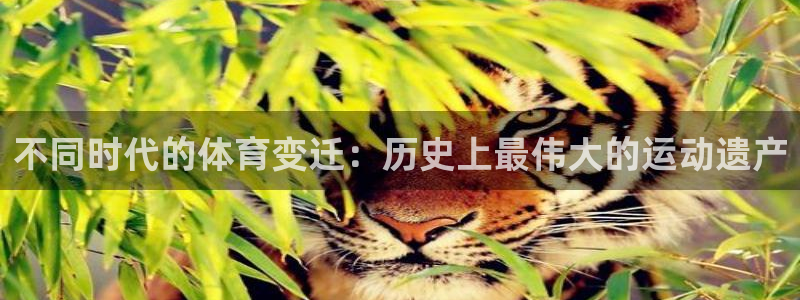 zoty中欧体育平台