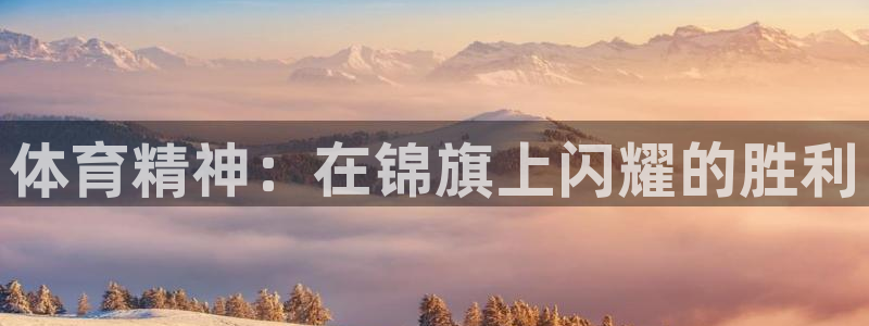 中欧体育网址