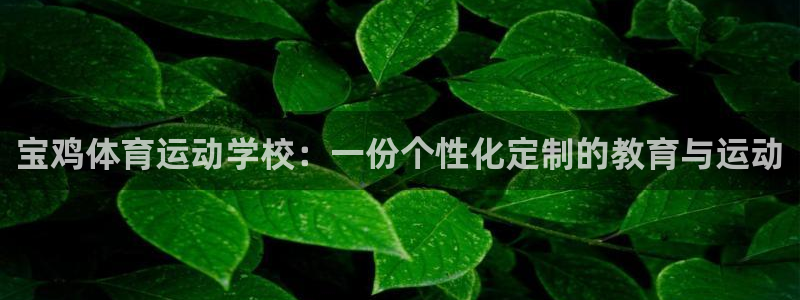 kok中欧体育