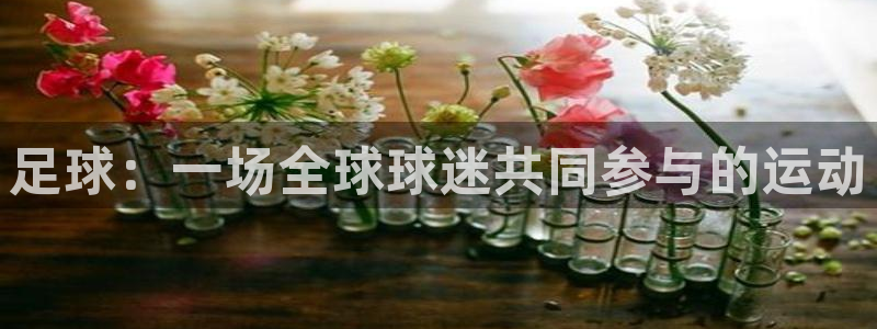 中欧体育