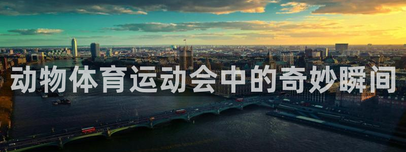 中欧体育app