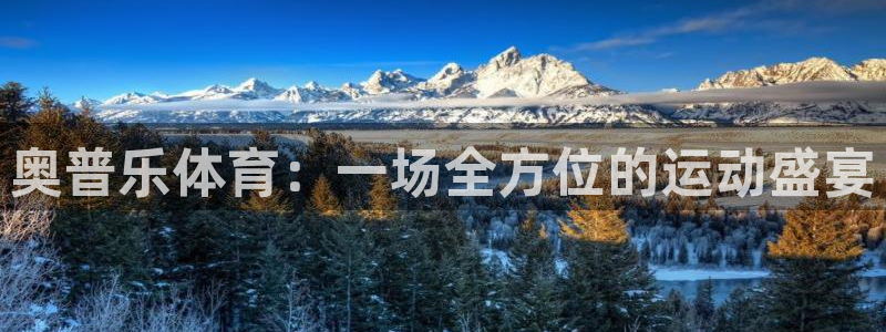 中欧体育平台