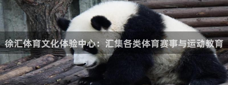 中欧体育全站app