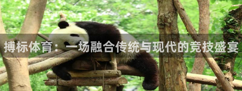 中欧体育网站