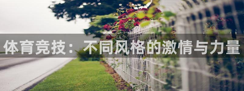 中欧体育(zoty)官网