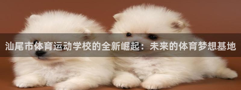 中欧体育ac米兰