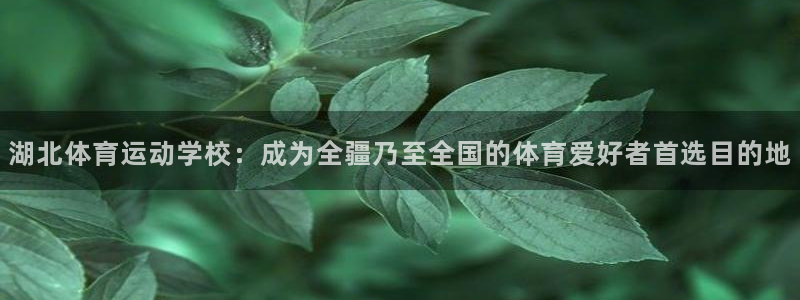 中欧体育