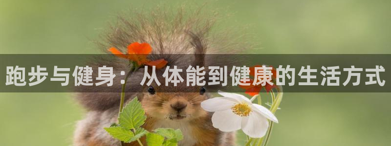 中欧体育网页版