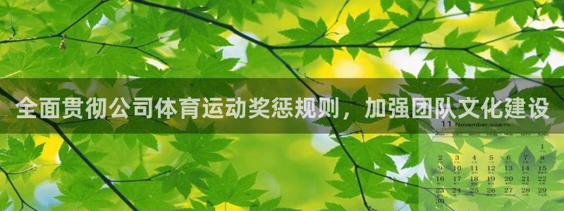 中欧体育在线
