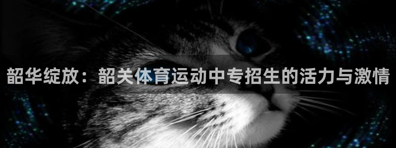 中欧体育ac米兰