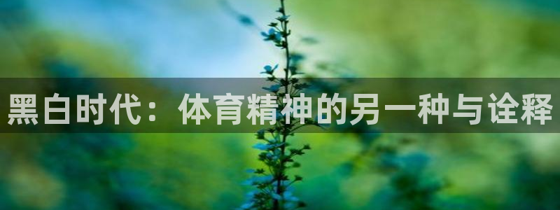 中欧体育网址