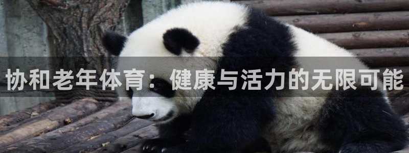 中欧体育平台